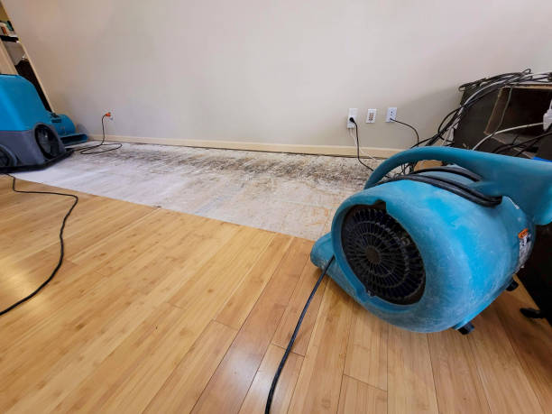 Professional Basement Flood Cleanup technician working in Rockwall, TX